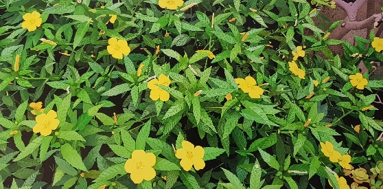 Lanzarote 2